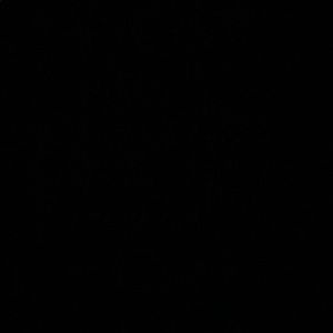 Meet your Posher, Freddy